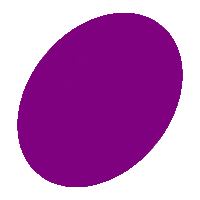 icon1