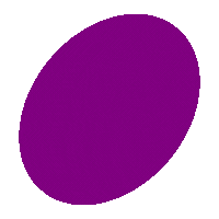 icon1
